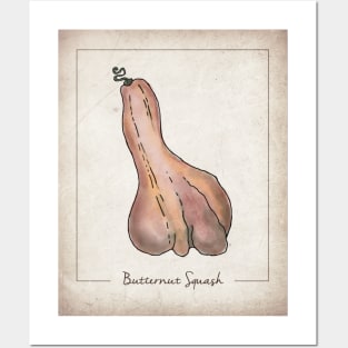 Butternut Squash Posters and Art